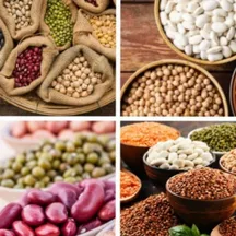 بقوليات